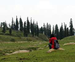 Travel To Sonamarg