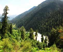 Sonamarg Tourism Honeymoon