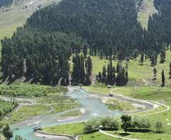 Sonamarg Honeymoon Tour Package