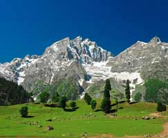 Holiday Package Sonamarg