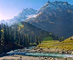 Sonamarg Honeymoon