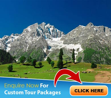 Sonamarg Tour Packages