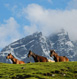 Sonamarg Tour Packages